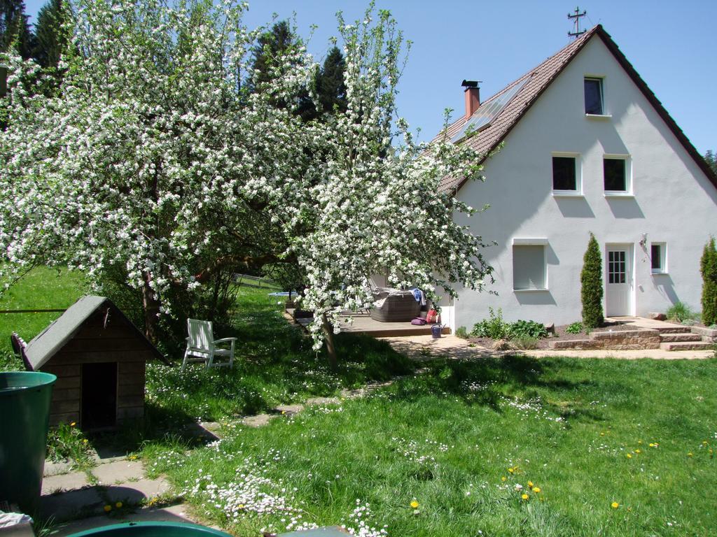 Apartamento Wonderworld Alfdorf Exterior foto